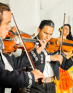 Mariachis en Guadalajara