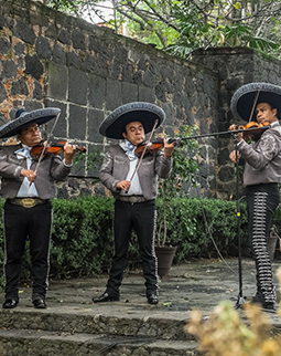Mariachis en Guadalajara